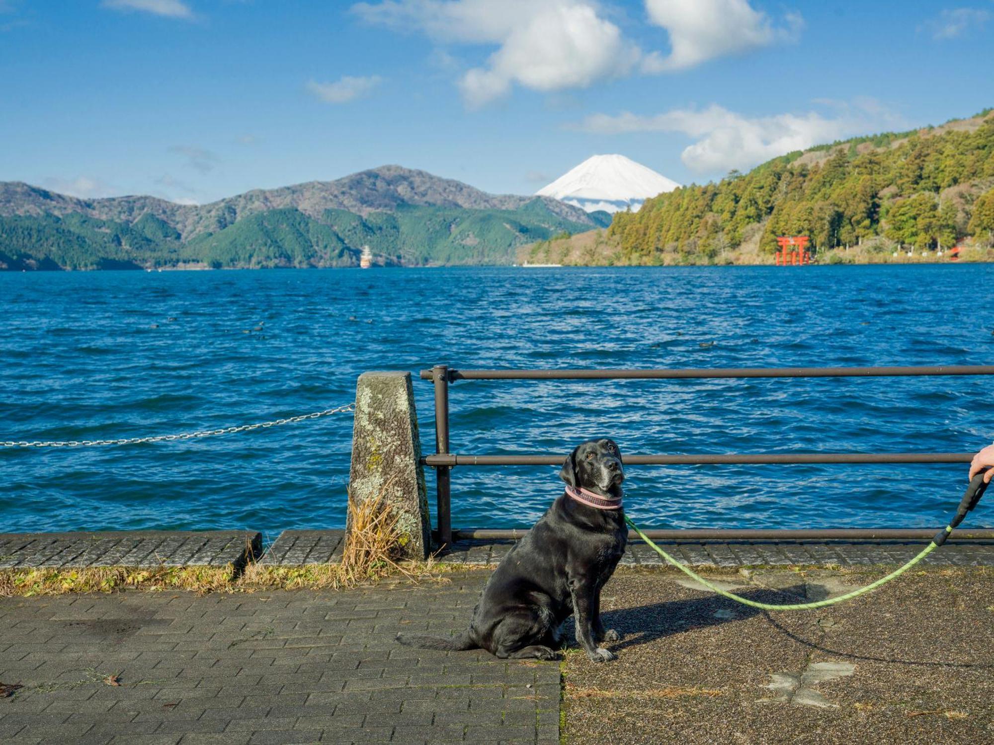 Rakuten Stay Fujimi Terrace Hakone Ashinoko Eksteriør bilde